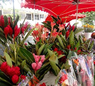 Der Marché aux Fleurs in Pointe-à-Pitre