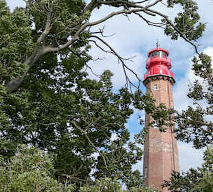  Flügge Foto Dieter Schmidt Kassel