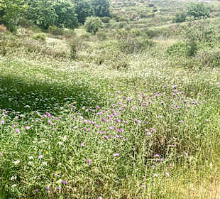 Inselrundfahrt Kreta