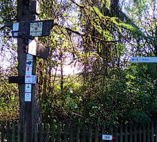 Panoramaweg Sankt Wendeler Land in Nonnweiler