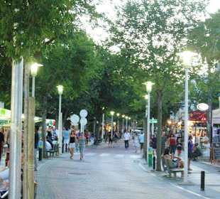 Einkaufsmeile (30 Sek. entfernt)