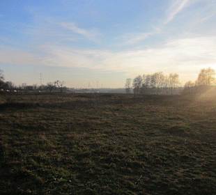 Natur Pur-Germersheimer Düne