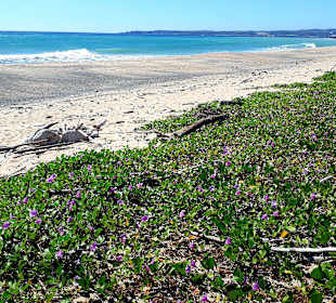 Stadtstrand Kenting City