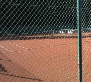 Tennisplätze