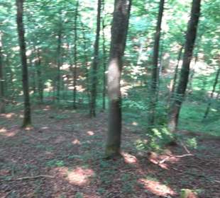 Premiumwanderweg "hochgesprudelt"