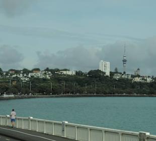 Mit dem Hop on Hop off Bus in Auckland unterwegs
