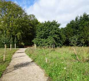 Spaziergang durch den Mühlenkamp-Park