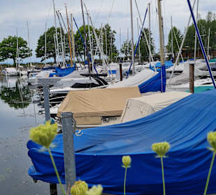 Yachthafen Lochau