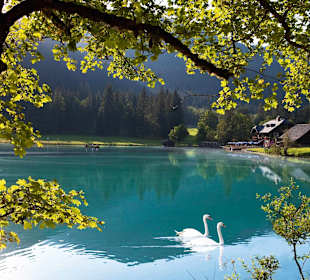 Wandern Kleinarl