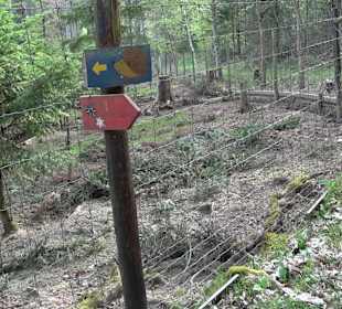 Walderlebnisweg Rottenburg