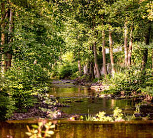 Wandern Bad Lauterberg