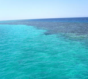 Delphin Tour