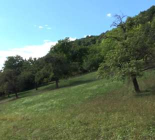 Naturschutzgebiet Grafenberg Kayh