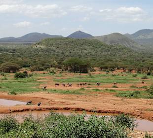 Serena Kilaguni Lodge - Ausblick 