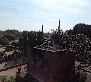 Ayutthaya