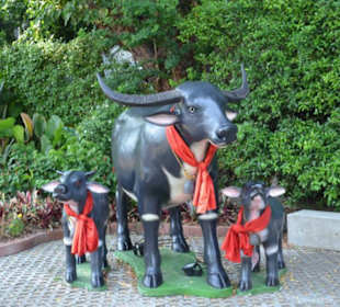 Golden Mount und Wat Saket