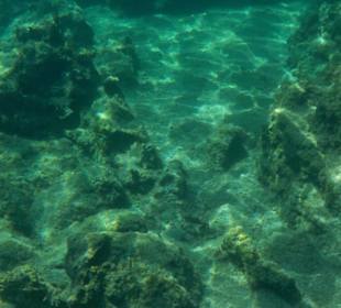 Schnorcheln beim 2. Stop 