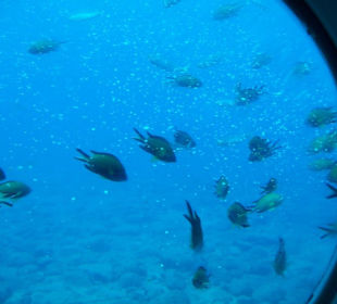 Blick aus dem Bullauge