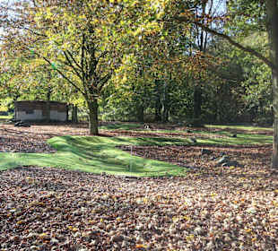 Es geht nicht immer geradeaus