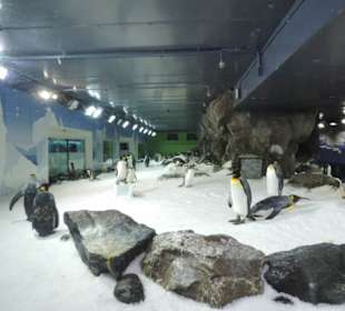 Besonders die Kinder hatten viel Spaß