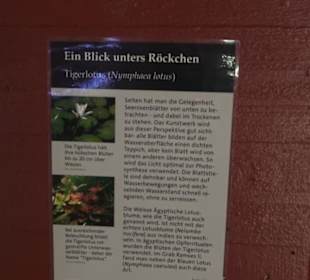 Botanischer Garten der Universität Zürich