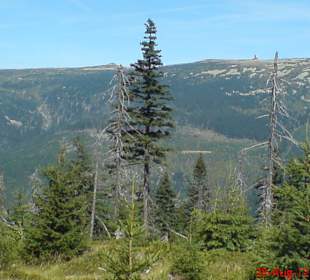 Wanderung Spindlermühle - Elbquelle und zurück