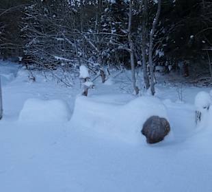 Dorf Herrenschwand, hat nur das Restaurant Waldfrieden