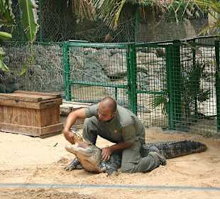 Der Krokodilflüsterer bei der Reptilienshow
