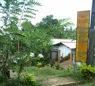 Tsunami Siedlung