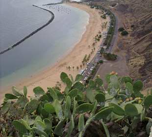 Blick auf Las Teresitas