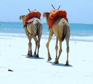 Diani Beach