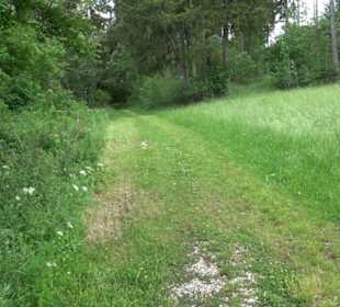 Premiumwanderweg "hochgehackert"