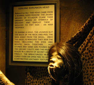 Ripley's Believe It or Not! Museum