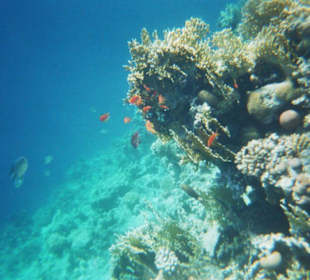 Unterwasser Hotelbucht