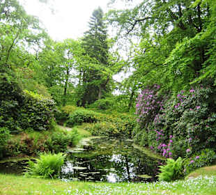 Schlosspark Lütetsburg