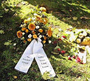 Кладбище Ольсдорф, Гамбург, 16 сентября 2013 года