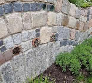 Viele Ornamente eingebracht 