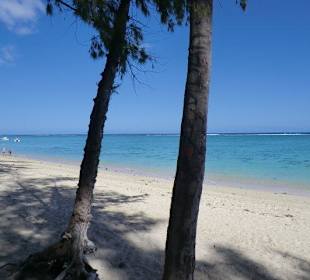 Vom Strand
