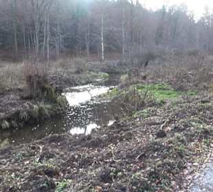 Schönbuch Schaichtal