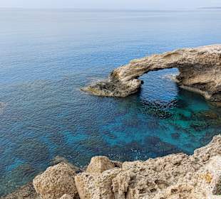 Ayia Napa Bogen Monachus Monachus