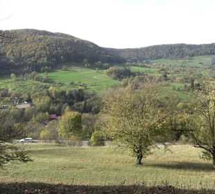 Premiumwanderweg hochgehkeltert Neuffen