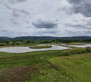 Kranichwoog Hütschenhausen in Hütschenhausen