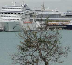 Kreuzfahrtschiffe