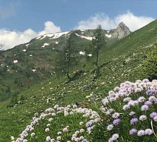 Ausblick von der Viehhausalm