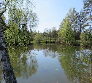Wandern Mitterteich