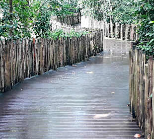 Singapur Zoo