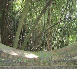 Garten und Villa Garzoni in Collodi