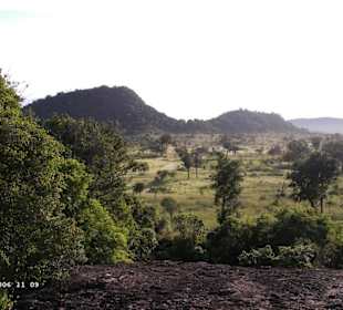 Safari im Habarana Nationalpark