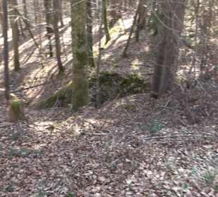 Geologischer Lehrpfad Kirnbachtal