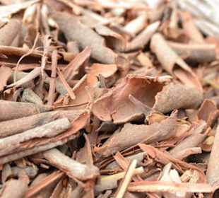 Zimtrinde, Markt in El Shalateen